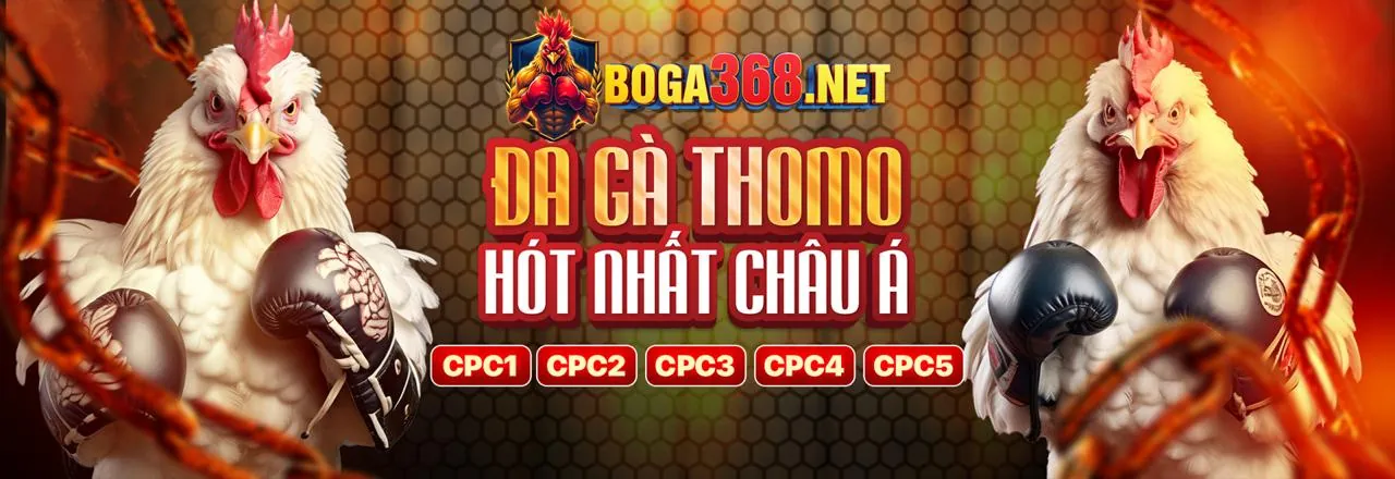 Đấu trường đá gà trực tuyến sôi động tại fv99 code